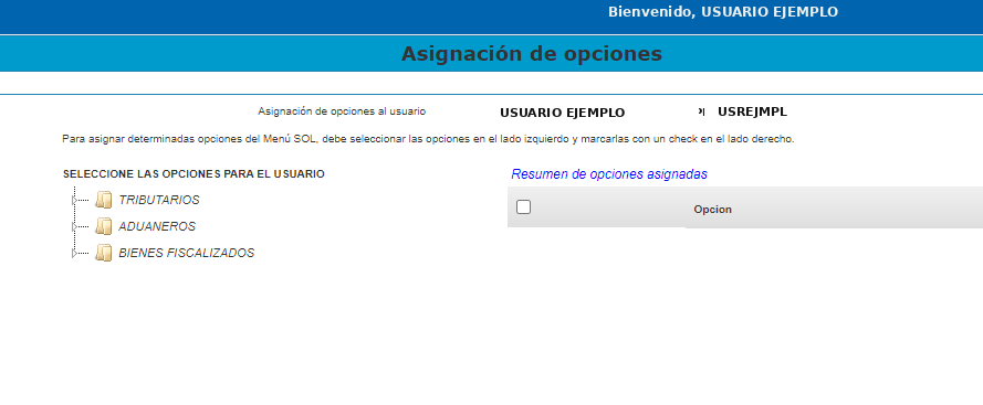 Paso 2 — Pantalla inicial de Asignación de opciones
