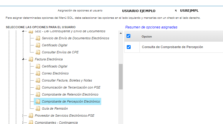 Comprobante de Percepción Electrónico — Consulta habilitada