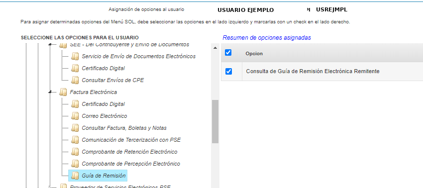Guía de Remisión — Consulta de Guía de Remisión Electrónica habilitada