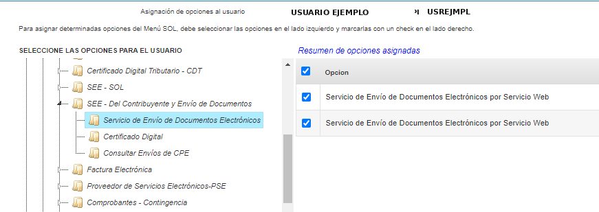 Servicio de Envío de Documentos Electrónicos habilitado con 2 sub-checks